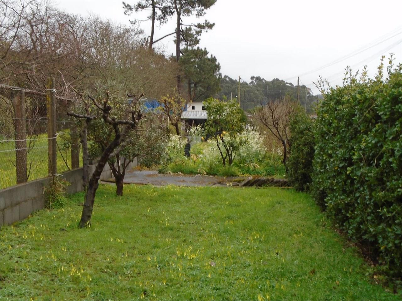 Foto 8 ZONA DE PLAYAS